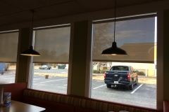 Screen Window Shades